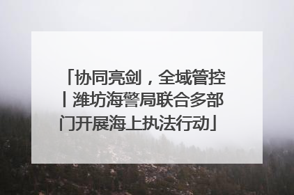 协同亮剑，全域管控丨潍坊海警局联合多部门开展海上执法行动