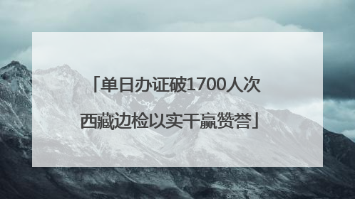 单日办证破1700人次 西藏边检以实干赢赞誉