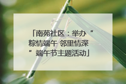 南苑社区：举办“粽情端午 邻里情深”端午节主题活动