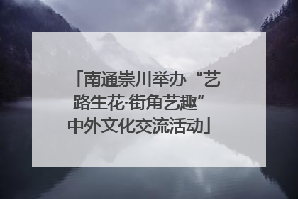 南通崇川举办“艺路生花·街角艺趣”中外文化交流活动