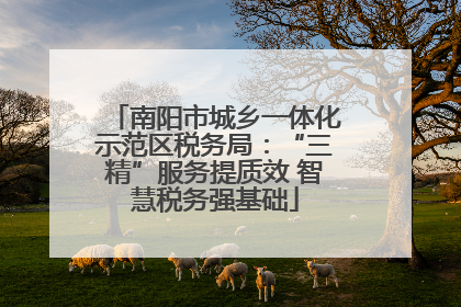 南阳市城乡一体化示范区税务局：“三精”服务提质效 智慧税务强基础