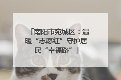 南阳市宛城区：温暖“志愿红”守护居民“幸福路”