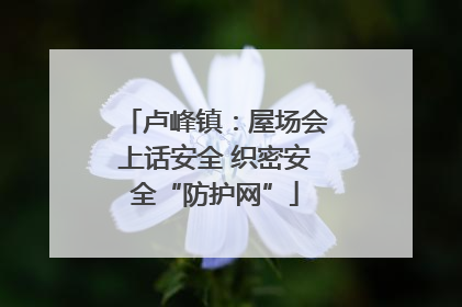 卢峰镇：屋场会上话安全 织密安全“防护网”