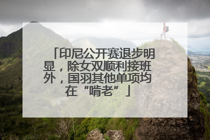 印尼公开赛退步明显，除女双顺利接班外，国羽其他单项均在“啃老”