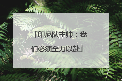 印尼队主帅：我们必须全力以赴