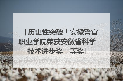 历史性突破！安徽警官职业学院荣获安徽省科学技术进步奖一等奖