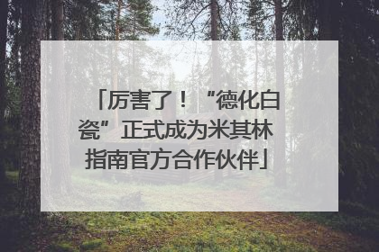 厉害了！“德化白瓷”正式成为米其林指南官方合作伙伴