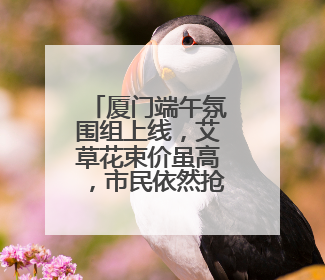 厦门端午氛围组上线，艾草花束价虽高，市民依然抢着买
