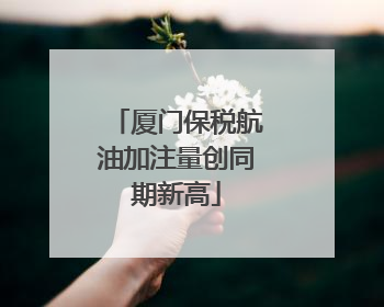 厦门保税航油加注量创同期新高