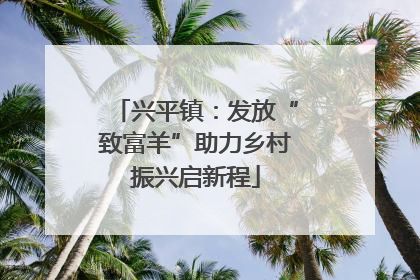 兴平镇：发放“致富羊”助力乡村振兴启新程