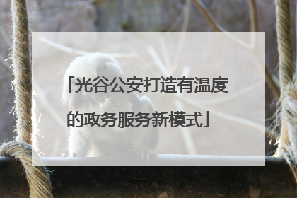 光谷公安打造有温度的政务服务新模式