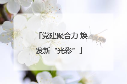 党建聚合力 焕发新“光彩”