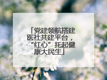 党建领航搭建医社共建平台，“红心”托起健康大民生