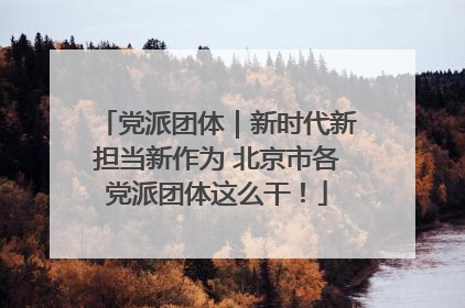 党派团体｜新时代新担当新作为 北京市各党派团体这么干！