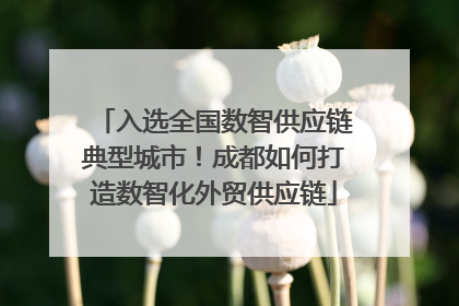 入选全国数智供应链典型城市！成都如何打造数智化外贸供应链