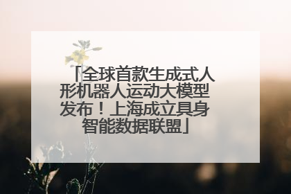 全球首款生成式人形机器人运动大模型发布！上海成立具身智能数据联盟