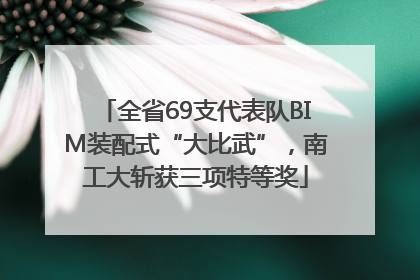 全省69支代表队BIM装配式“大比武”，南工大斩获三项特等奖