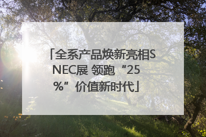 全系产品焕新亮相SNEC展 领跑“25%”价值新时代