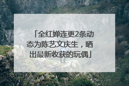 全红婵连更2条动态为陈艺文庆生，晒出最新收获的玩偶