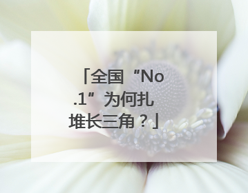 全国“No.1”为何扎堆长三角？