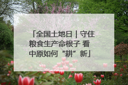 全国土地日｜守住粮食生产命根子 看中原如何“耕”新