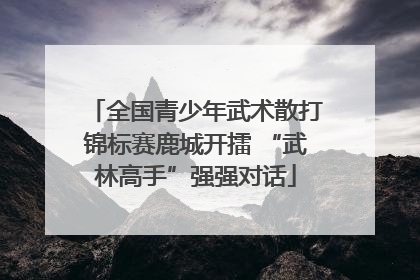 全国青少年武术散打锦标赛鹿城开擂 “武林高手”强强对话