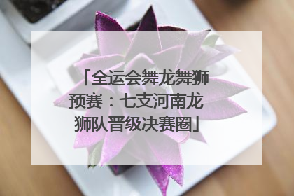 全运会舞龙舞狮预赛：七支河南龙狮队晋级决赛圈