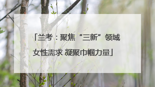 兰考：聚焦“三新”领域女性需求 凝聚巾帼力量