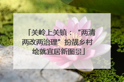 关岭上关镇：“两清两改两治理”扮靓乡村 绘就宜居新图景