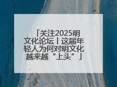 关注2025明文化论坛丨这届年轻人为何对明文化越来越“上头”