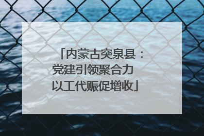 内蒙古突泉县：党建引领聚合力 以工代赈促增收