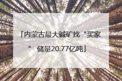内蒙古最大碱矿找“买家” 储量20.77亿吨