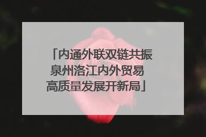 内通外联双链共振 泉州洛江内外贸易高质量发展开新局