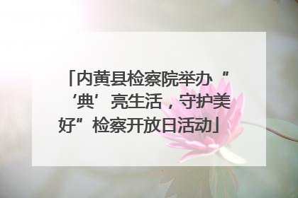 内黄县检察院举办“‘典’亮生活，守护美好”检察开放日活动