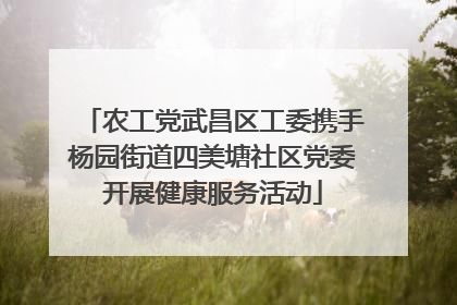 农工党武昌区工委携手杨园街道四美塘社区党委开展健康服务活动