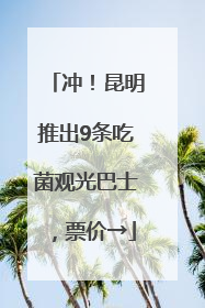 冲！昆明推出9条吃菌观光巴士，票价→