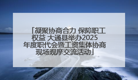 凝聚协商合力 保障职工权益 大通县举办2025年度职代会暨工资集体协商现场观摩交流活动