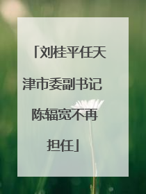 刘桂平任天津市委副书记 陈辐宽不再担任