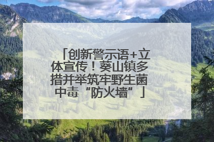 创新警示语+立体宣传！葵山镇多措并举筑牢野生菌中毒“防火墙”