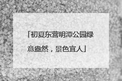初夏东营明潭公园绿意盎然，景色宜人
