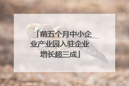 前五个月中小企业产业园入驻企业增长超三成