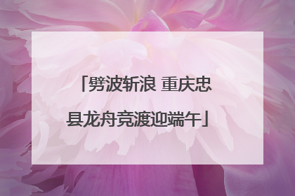 劈波斩浪 重庆忠县龙舟竞渡迎端午
