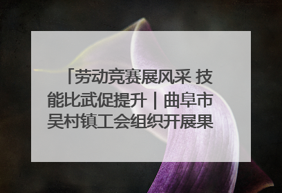 劳动竞赛展风采 技能比武促提升｜曲阜市吴村镇工会组织开展果树套袋技能竞赛