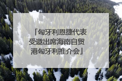 匈牙利恩捷代表受邀出席海南自贸港匈牙利推介会