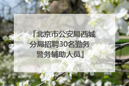 北京市公安局西城分局招聘30名勤务警务辅助人员