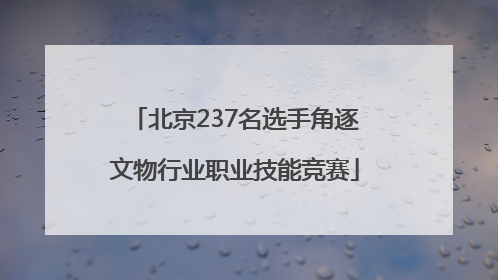 北京237名选手角逐文物行业职业技能竞赛