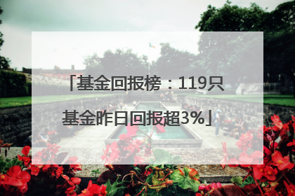 基金回报榜：119只基金昨日回报超3%