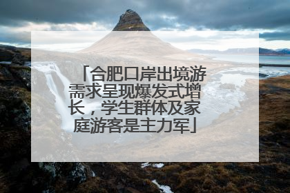 合肥口岸出境游需求呈现爆发式增长，学生群体及家庭游客是主力军