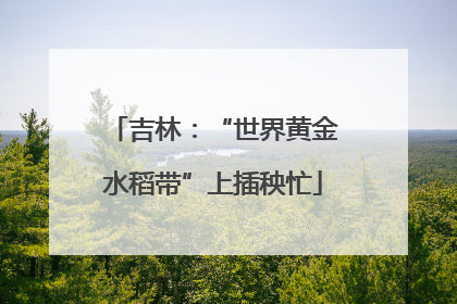 吉林：“世界黄金水稻带”上插秧忙