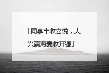 同享丰收喜悦，大兴瀛海麦收开镰